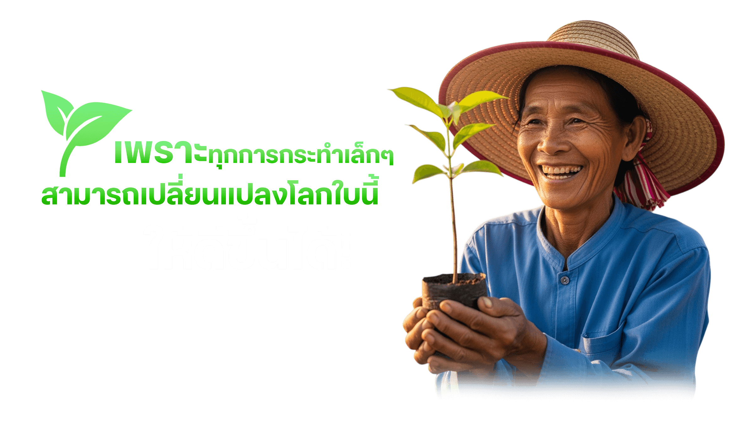 โปรโมท